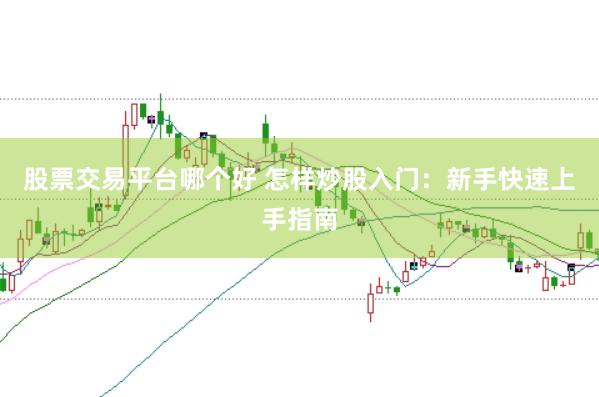股票交易平台哪个好 怎样炒股入门：新手快速上手指南