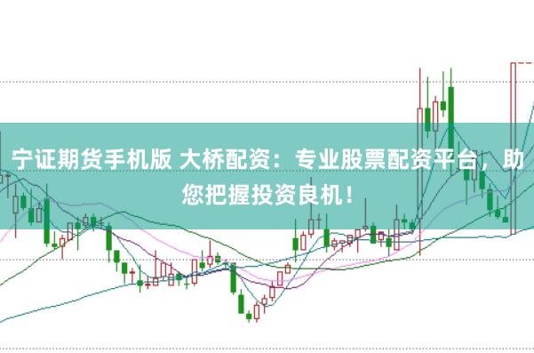 宁证期货手机版 大桥配资：专业股票配资平台，助您把握投资良机！