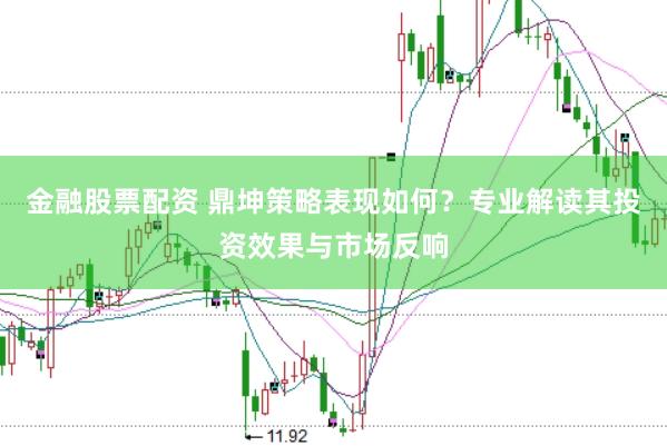 金融股票配资 鼎坤策略表现如何？专业解读其投资效果与市场反响
