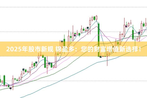 2025年股市新规 锦盈多：您的财富增值新选择！