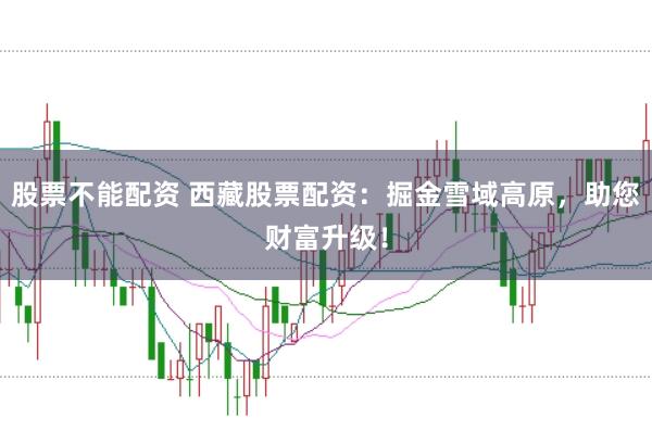 股票不能配资 西藏股票配资：掘金雪域高原，助您财富升级！