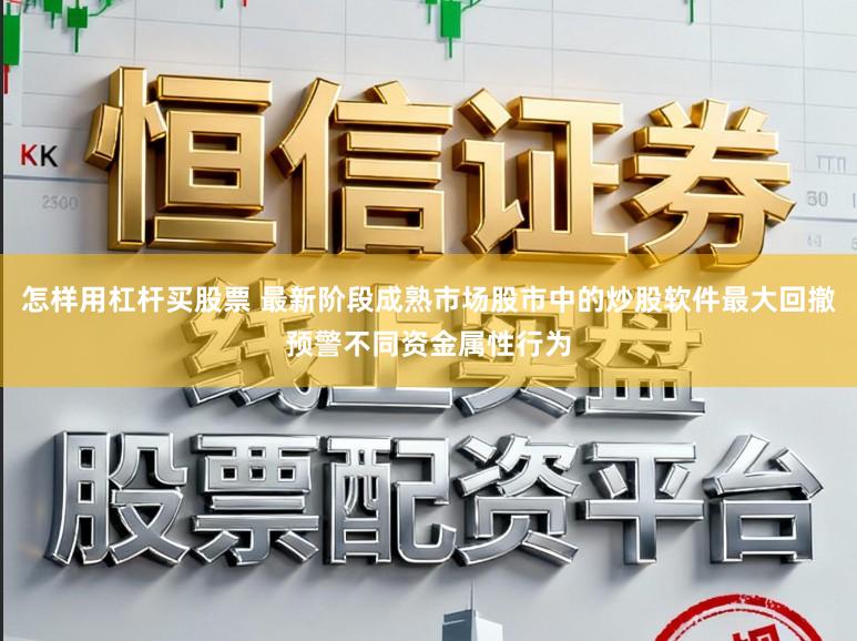 怎样用杠杆买股票 最新阶段成熟市场股市中的炒股软件最大回撤预警不同资金属性行为